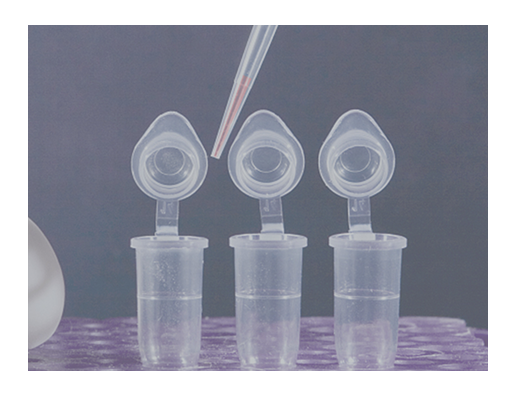 PCR Kits/Reagents